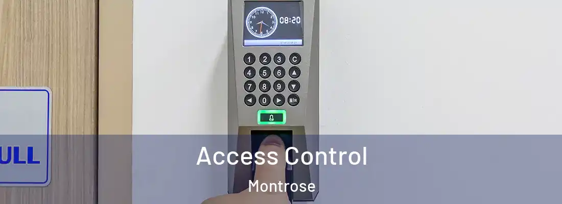 Access Control Montrose