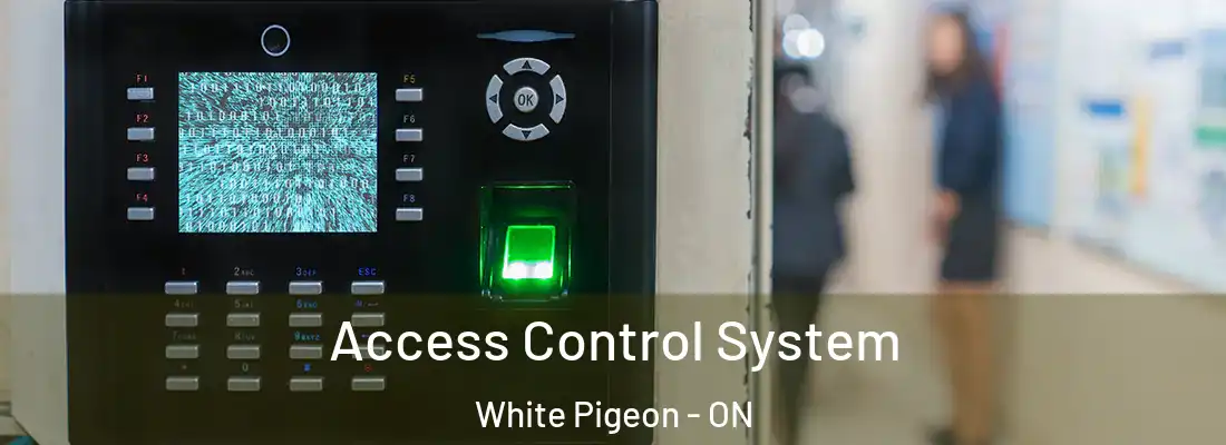  Access Control System White Pigeon - ON