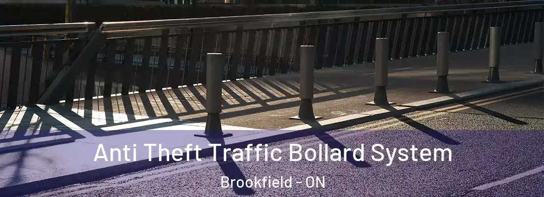  Anti Theft Traffic Bollard System Brookfield - ON