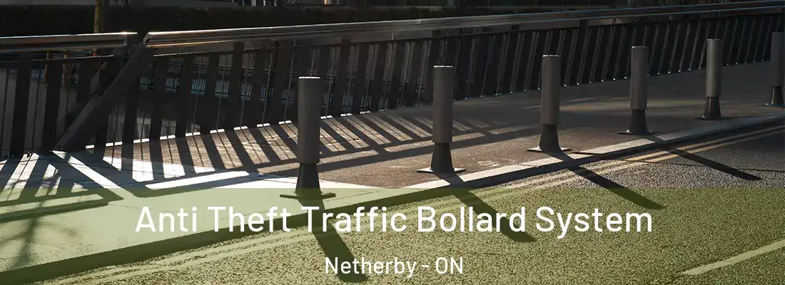 Anti Theft Traffic Bollard System Netherby - ON