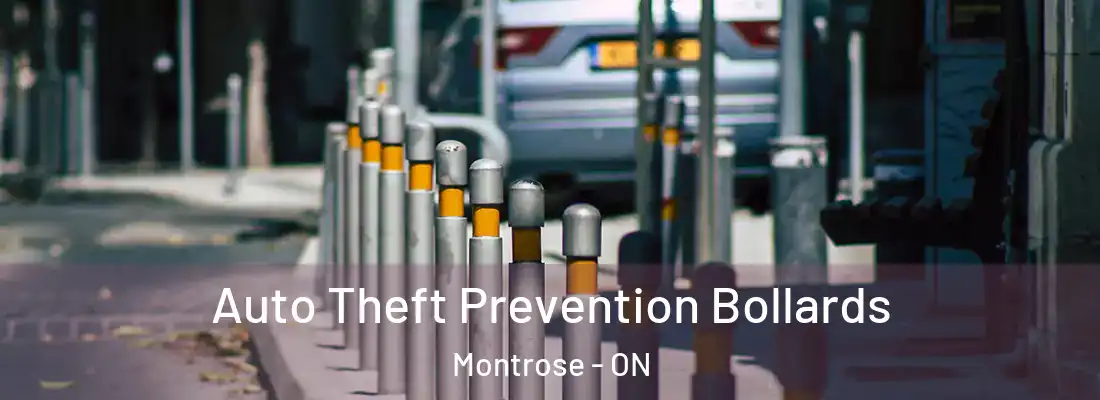  Auto Theft Prevention Bollards Montrose - ON