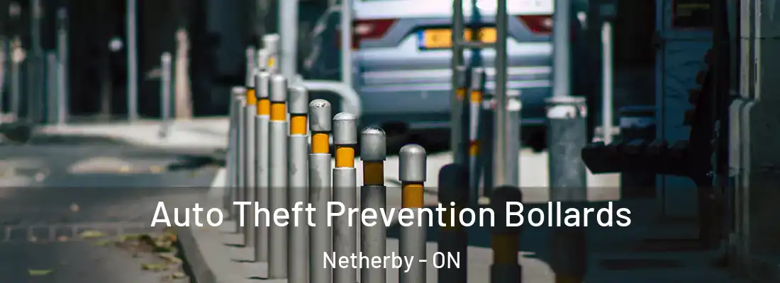  Auto Theft Prevention Bollards Netherby - ON
