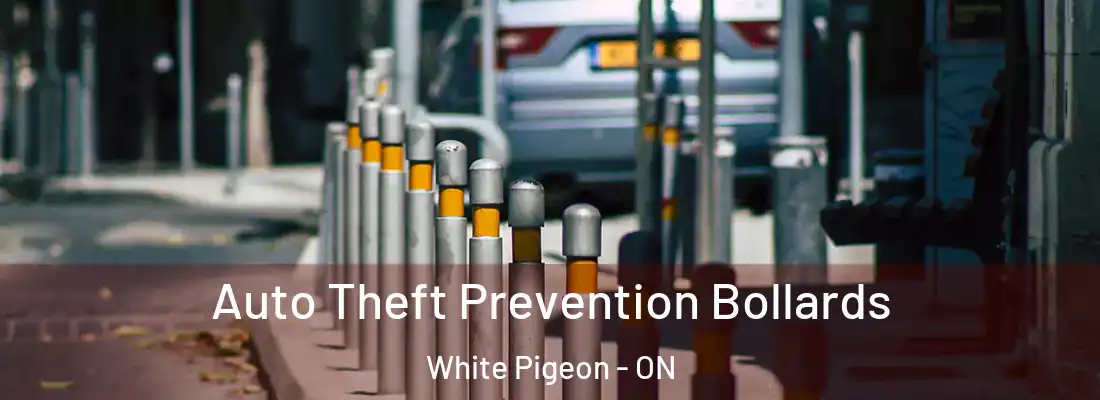  Auto Theft Prevention Bollards White Pigeon - ON