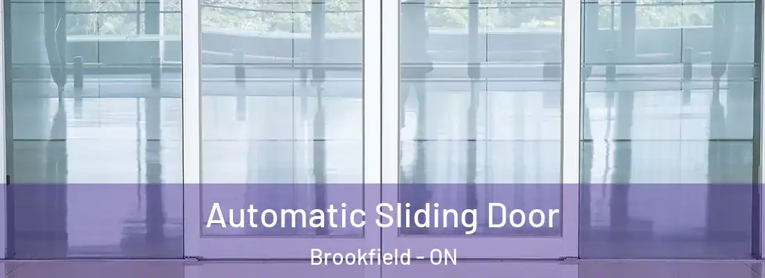  Automatic Sliding Door Brookfield - ON