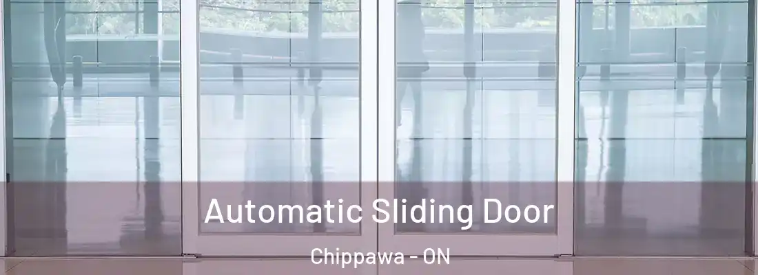  Automatic Sliding Door Chippawa - ON
