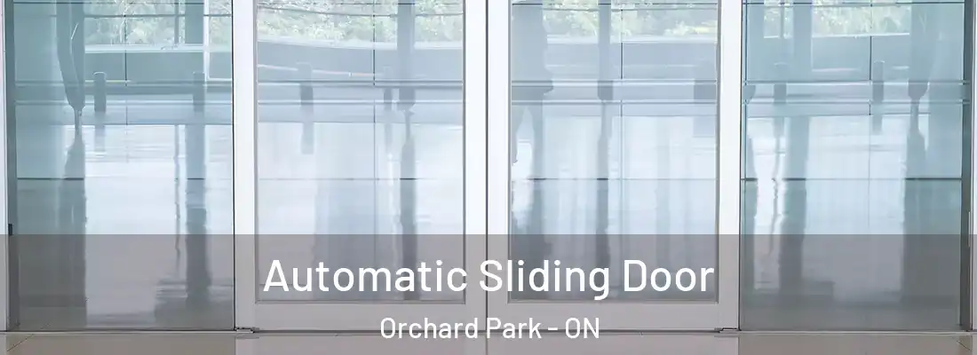  Automatic Sliding Door Orchard Park - ON