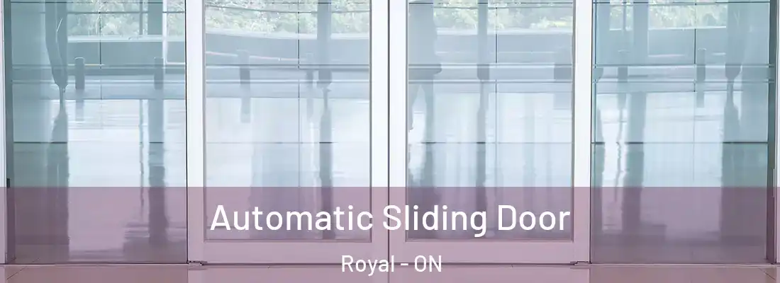  Automatic Sliding Door Royal - ON