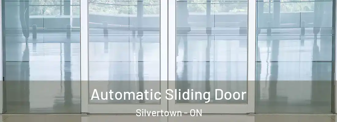  Automatic Sliding Door Silvertown - ON