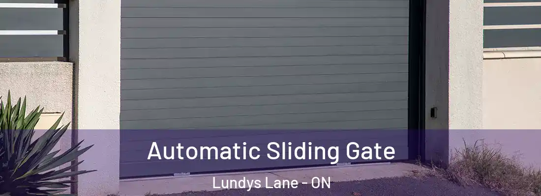  Automatic Sliding Gate Lundys Lane - ON