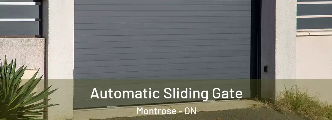  Automatic Sliding Gate Montrose - ON
