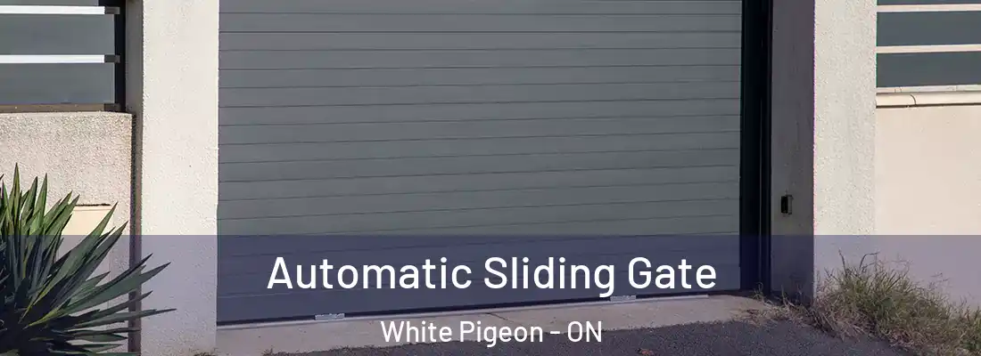  Automatic Sliding Gate White Pigeon - ON