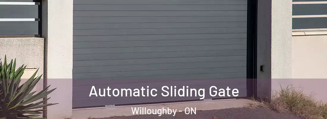  Automatic Sliding Gate Willoughby - ON