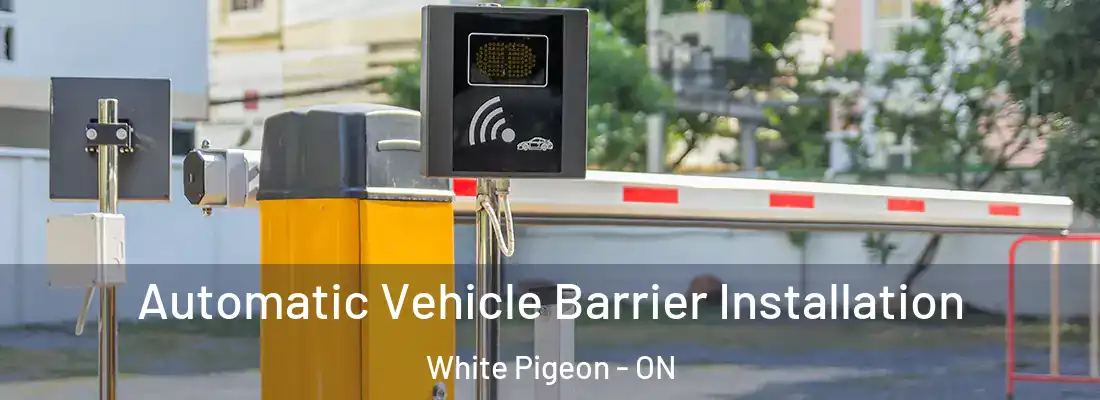  Automatic Vehicle Barrier Installation White Pigeon - ON