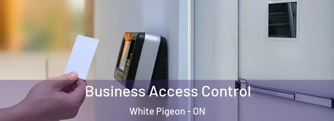  Business Access Control White Pigeon - ON