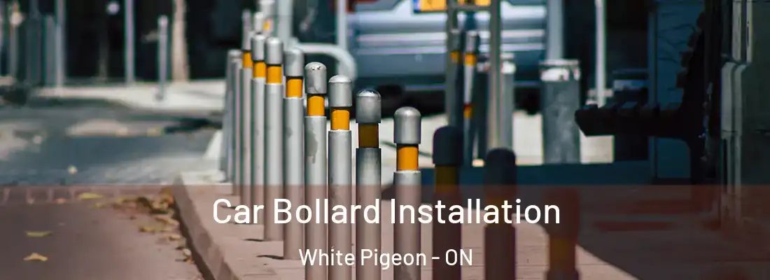  Car Bollard Installation White Pigeon - ON