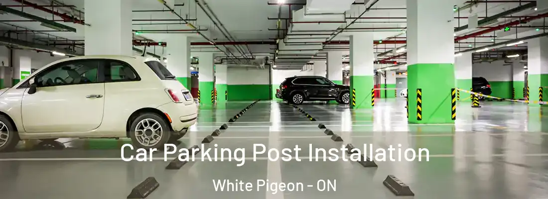  Car Parking Post Installation White Pigeon - ON