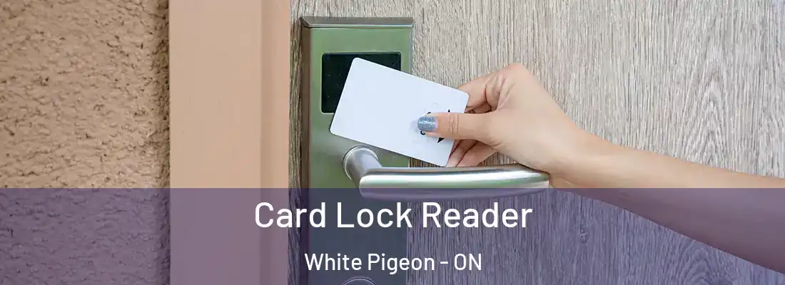  Card Lock Reader White Pigeon - ON