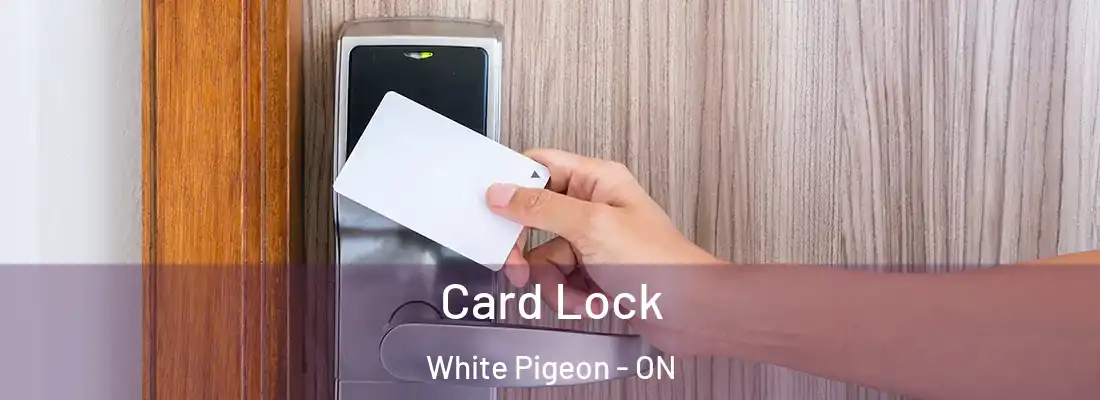  Card Lock White Pigeon - ON