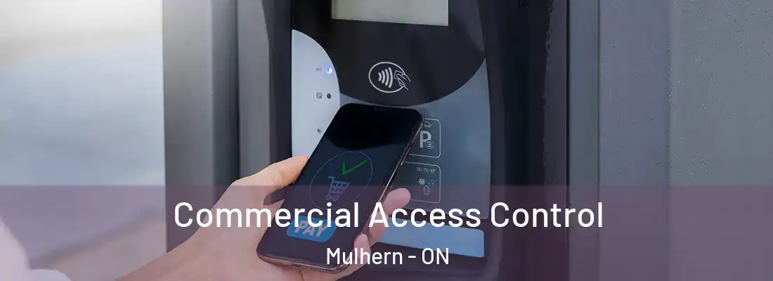 Commercial Access Control Mulhern - ON