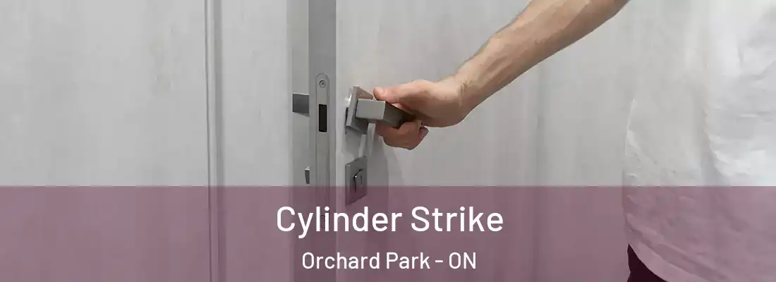  Cylinder Strike Orchard Park - ON