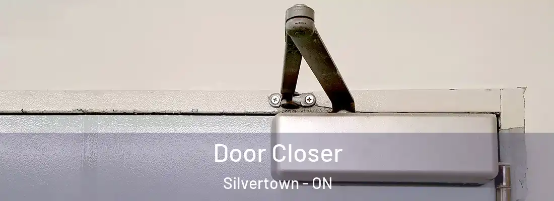  Door Closer Silvertown - ON