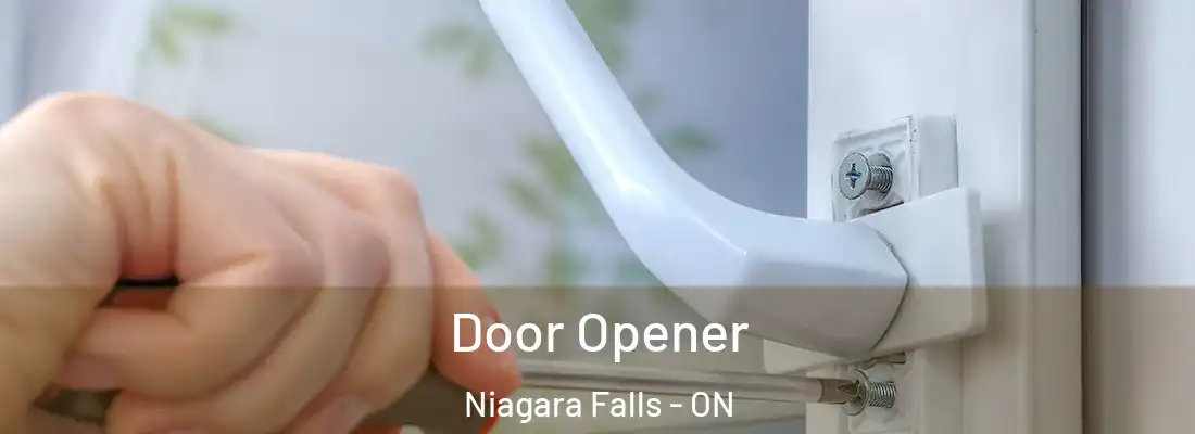  Door Opener Niagara Falls - ON