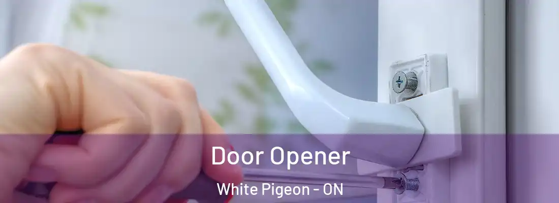  Door Opener White Pigeon - ON