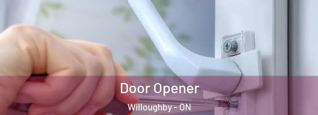  Door Opener Willoughby - ON