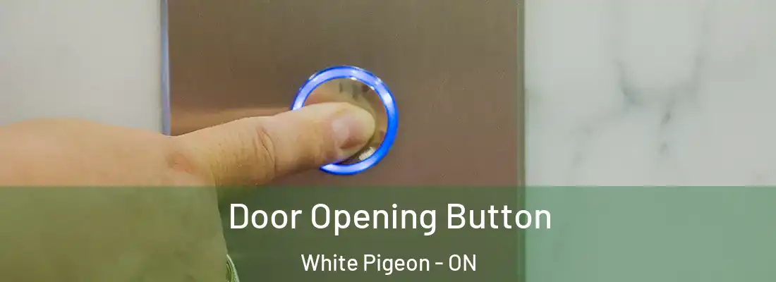  Door Opening Button White Pigeon - ON