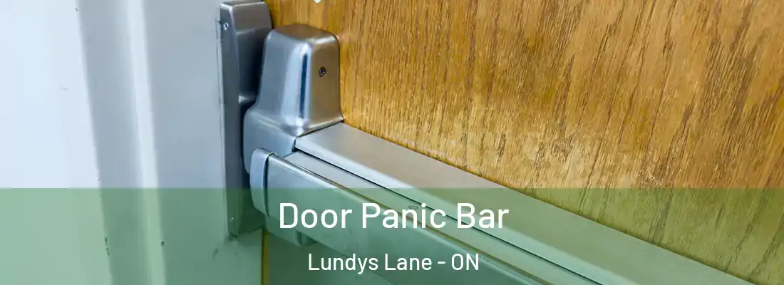  Door Panic Bar Lundys Lane - ON