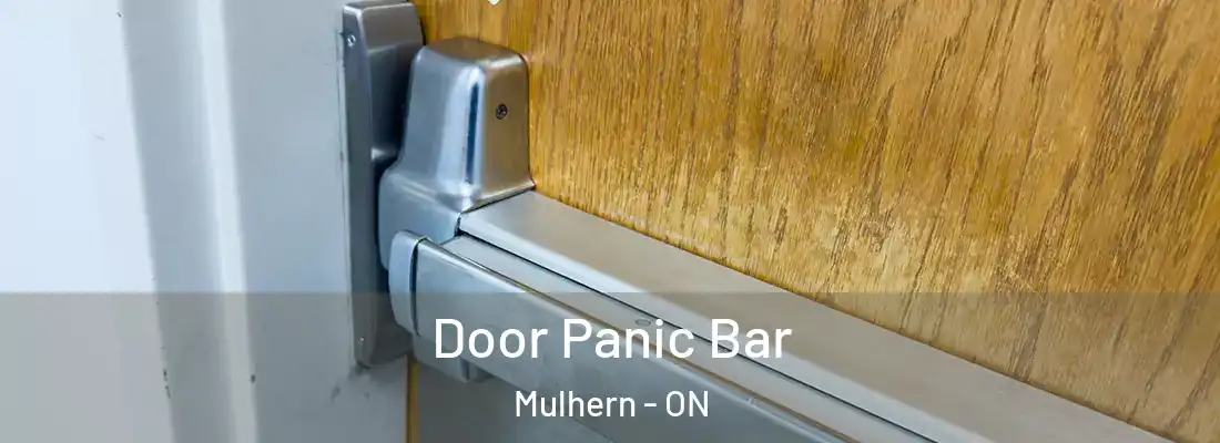  Door Panic Bar Mulhern - ON