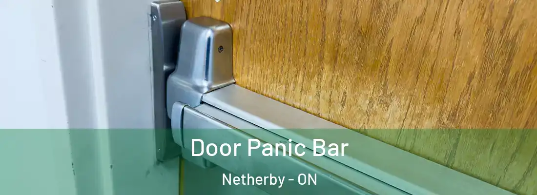  Door Panic Bar Netherby - ON