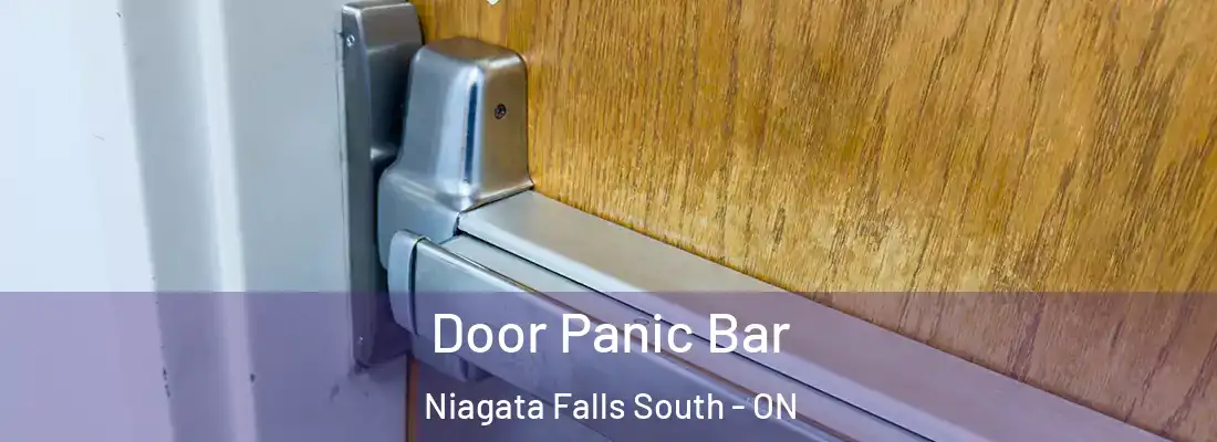  Door Panic Bar Niagata Falls South - ON