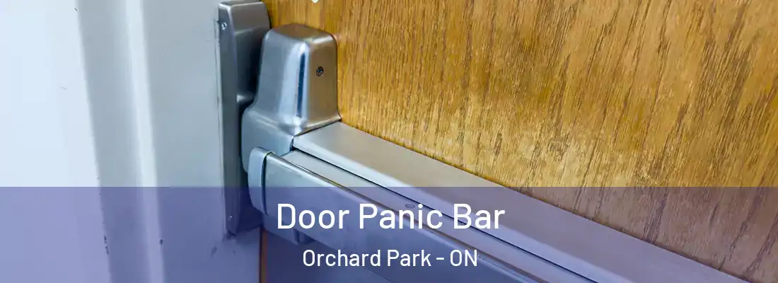  Door Panic Bar Orchard Park - ON