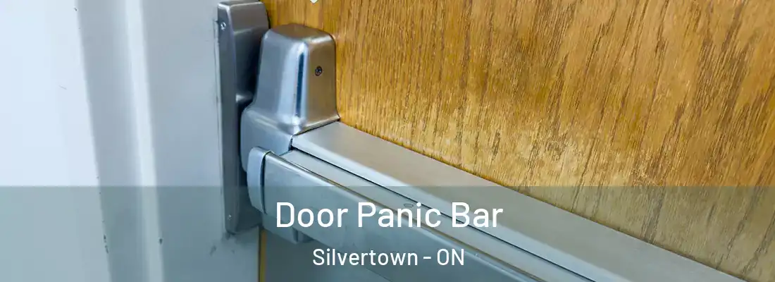  Door Panic Bar Silvertown - ON