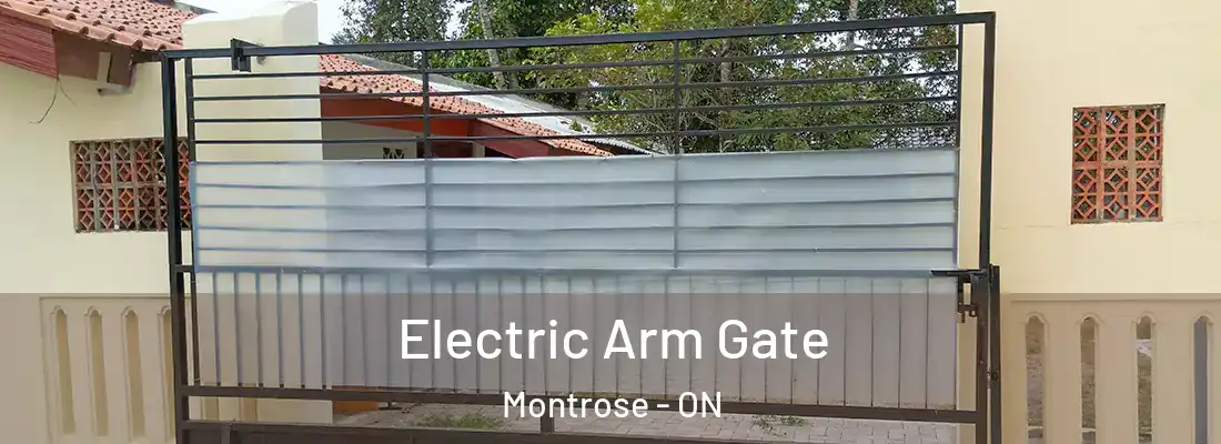  Electric Arm Gate Montrose - ON