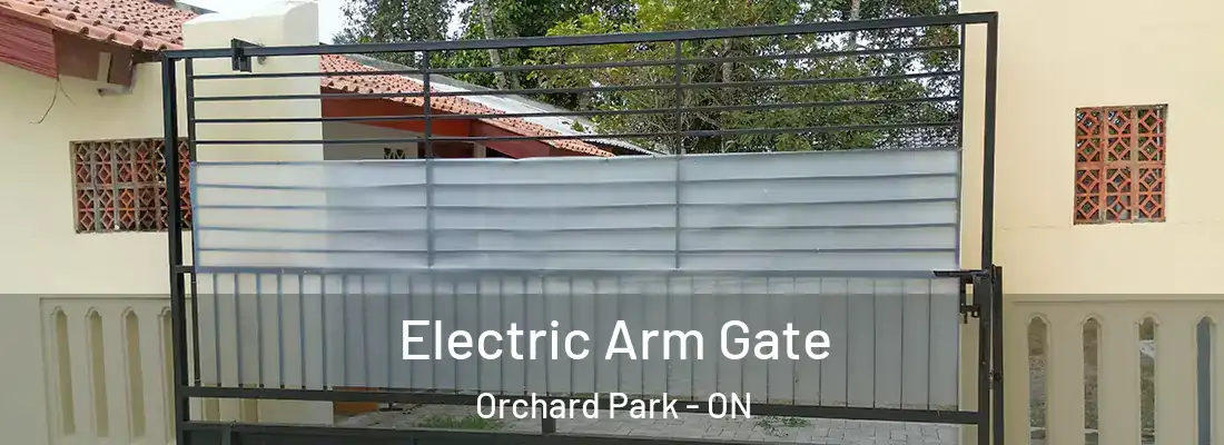  Electric Arm Gate Orchard Park - ON