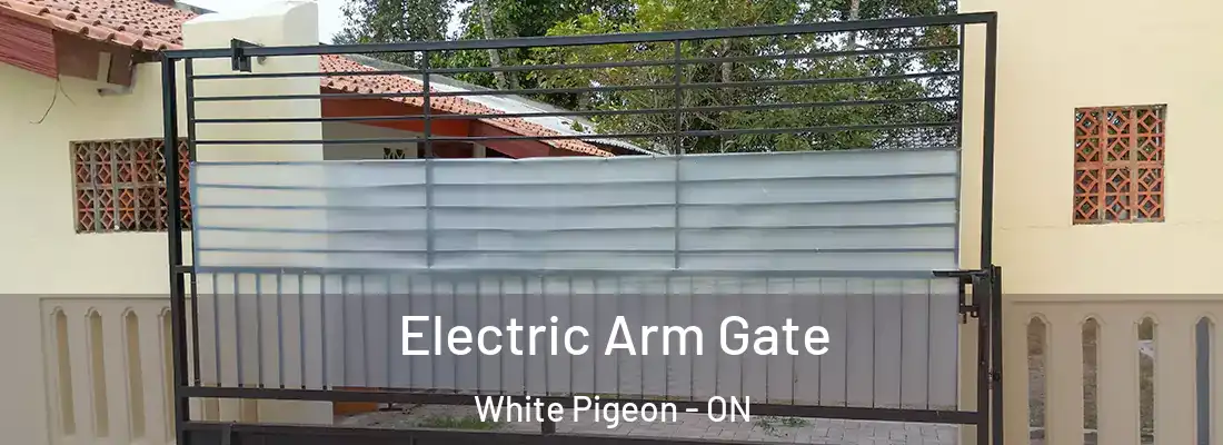  Electric Arm Gate White Pigeon - ON