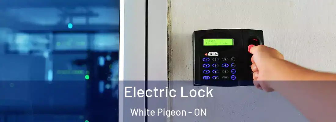  Electric Lock White Pigeon - ON