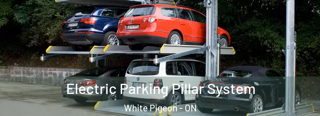  Electric Parking Pillar System White Pigeon - ON