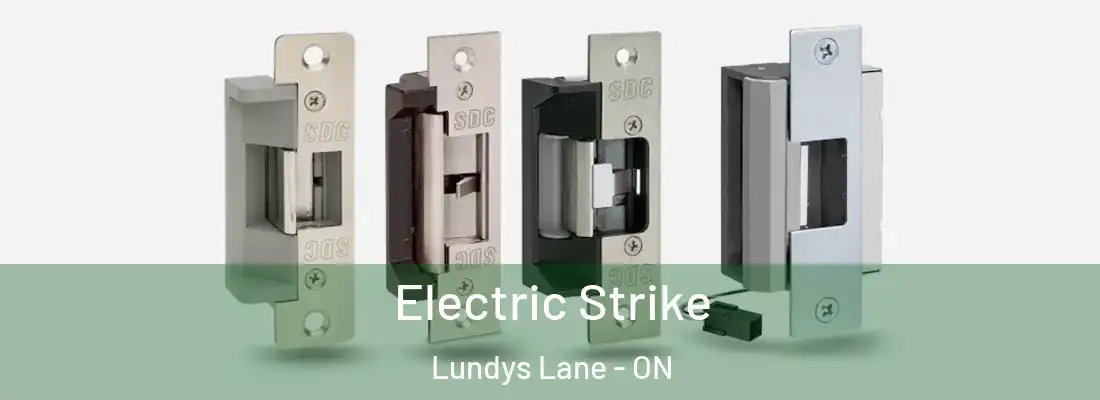  Electric Strike Lundys Lane - ON