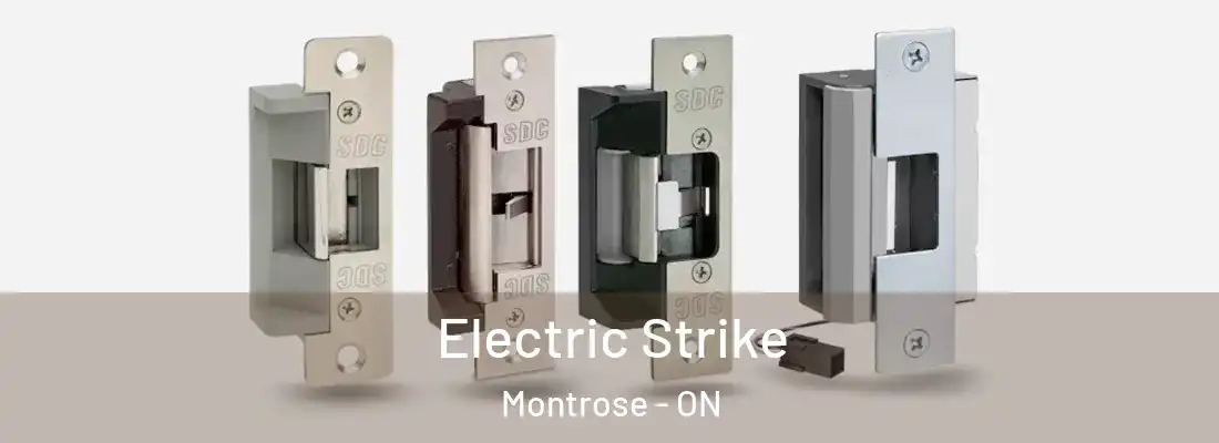  Electric Strike Montrose - ON
