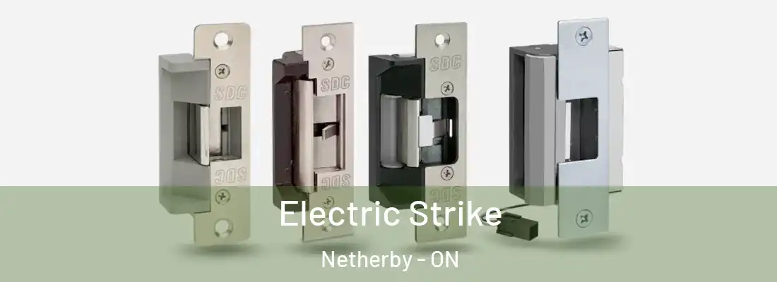  Electric Strike Netherby - ON