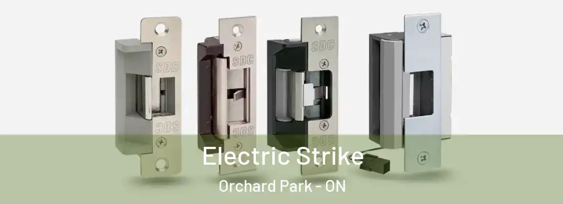  Electric Strike Orchard Park - ON