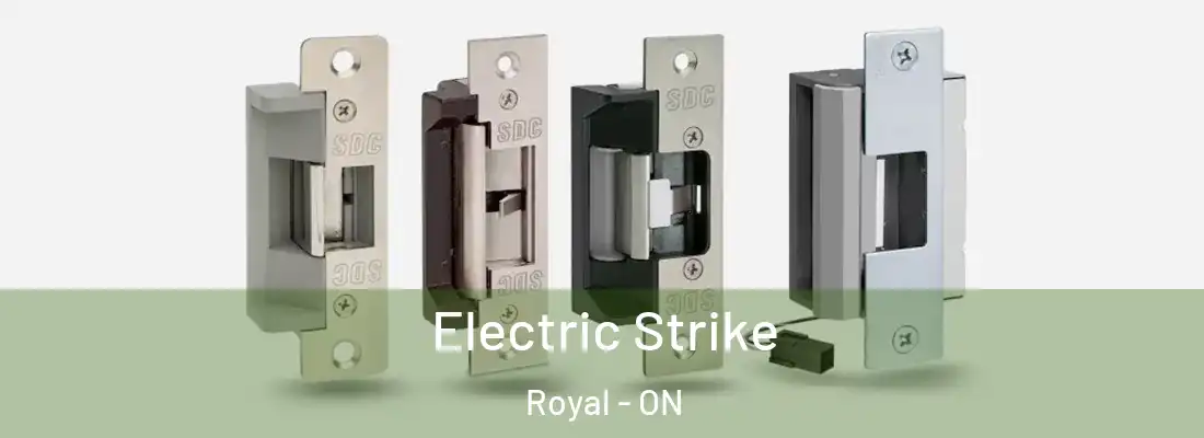  Electric Strike Royal - ON