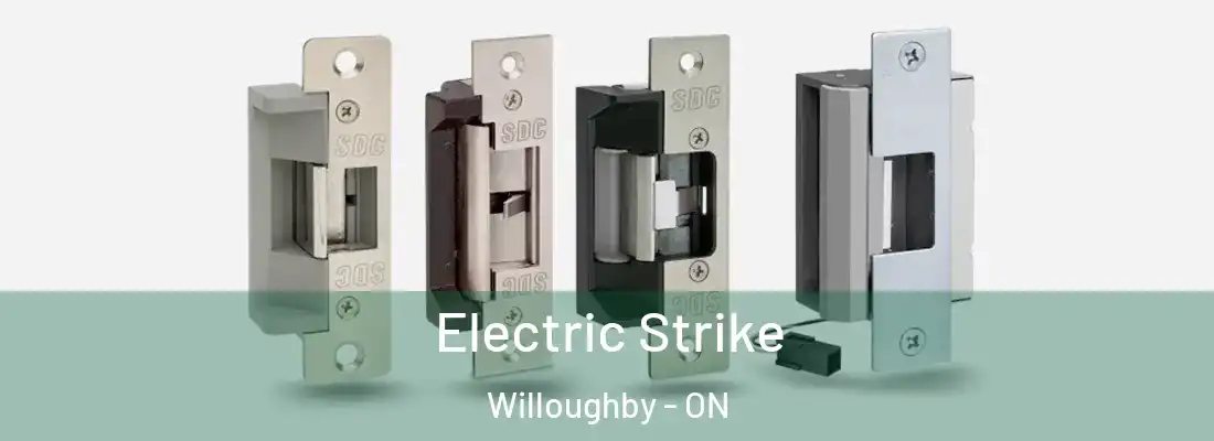  Electric Strike Willoughby - ON