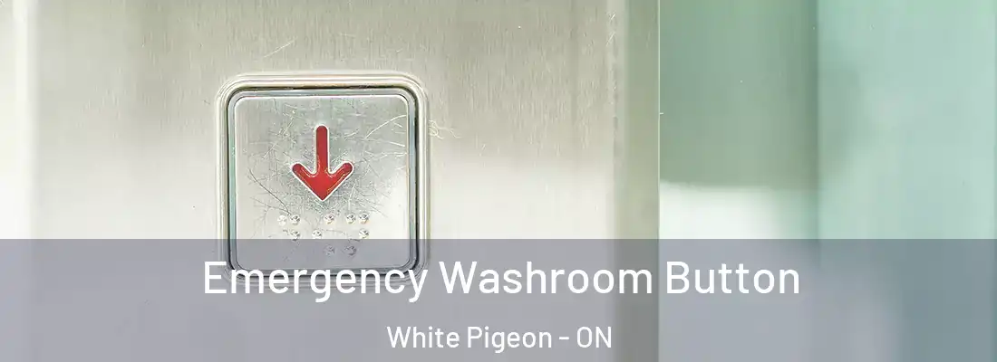  Emergency Washroom Button White Pigeon - ON