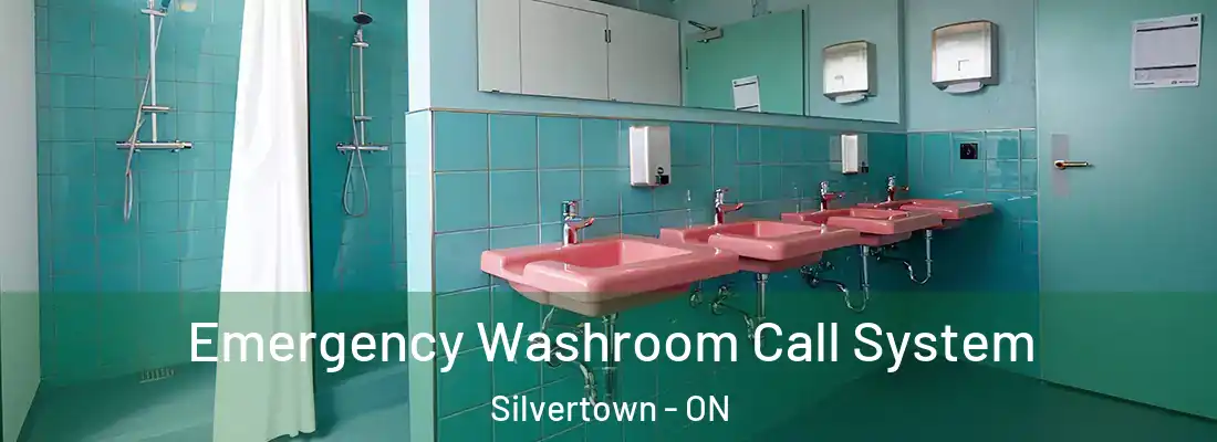  Emergency Washroom Call System Silvertown - ON