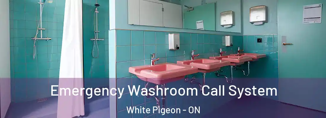  Emergency Washroom Call System White Pigeon - ON