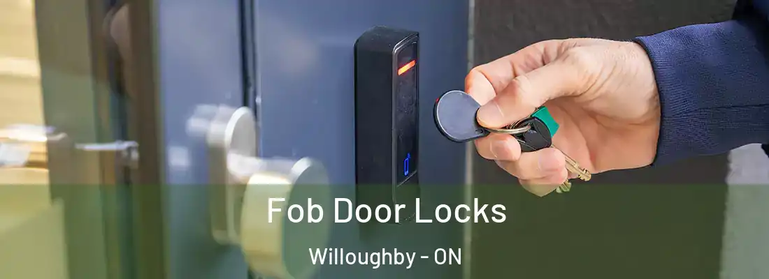  Fob Door Locks Willoughby - ON
